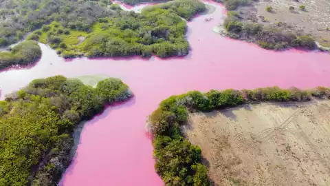 laguna-agua-color-rosa-oaxaca.jpg