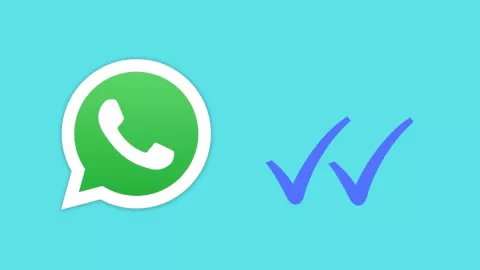 WhatsApp, palomas azules b.jpg