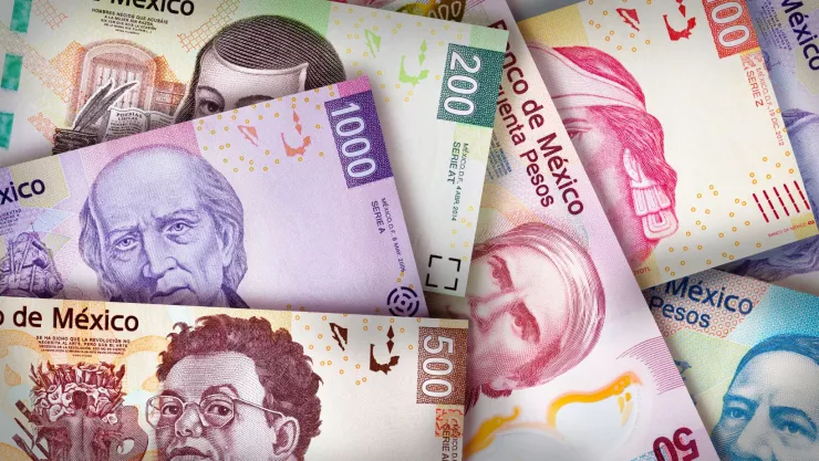 El ritual efectivo que te llenará los bolsillos de dinero, según Mhoni Vidente