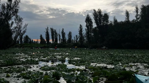 canales de Xochimilco