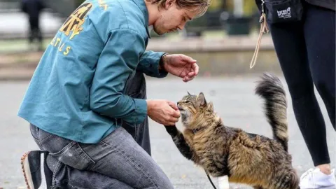 Tonic, el gato callejero que conquistó Hollywood en la película con Austin Butler