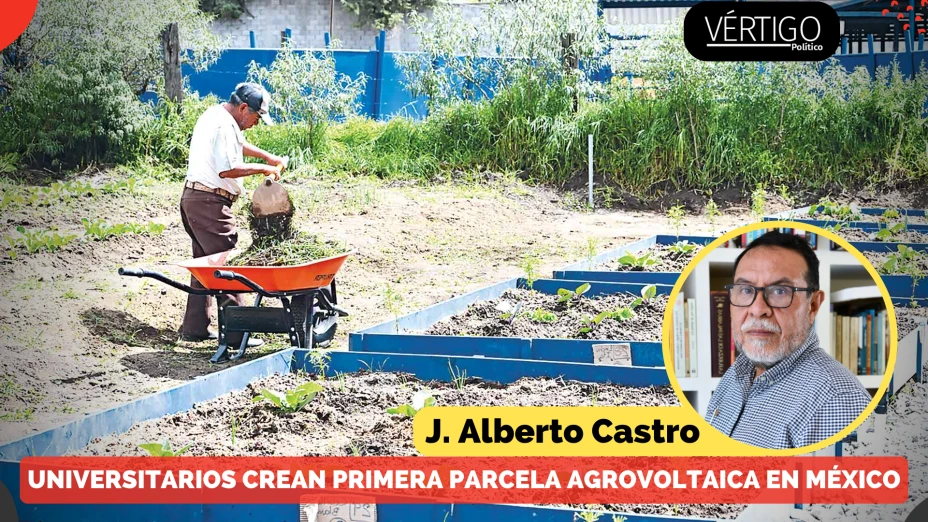 PARCELA AGROVOLTAICA EN MÉXICO