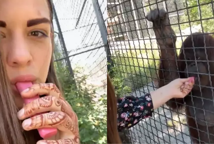 Boxeadora Anastasia Luchkina