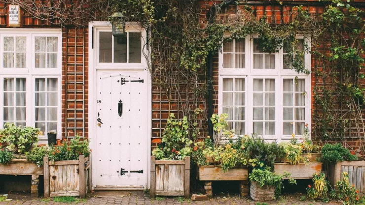/estilo-de-vida/que-plantas-poner-entrada-alejar-mala-vibra-casa