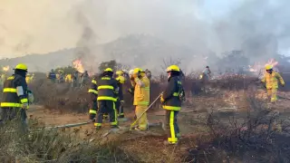 Al momento hay 1,645 personas evacuadas y 3 refugios activos. La mayor afectación se reporta en Ensenada (5,000 hectáreas) y Tecate (1,250 hectáreas).