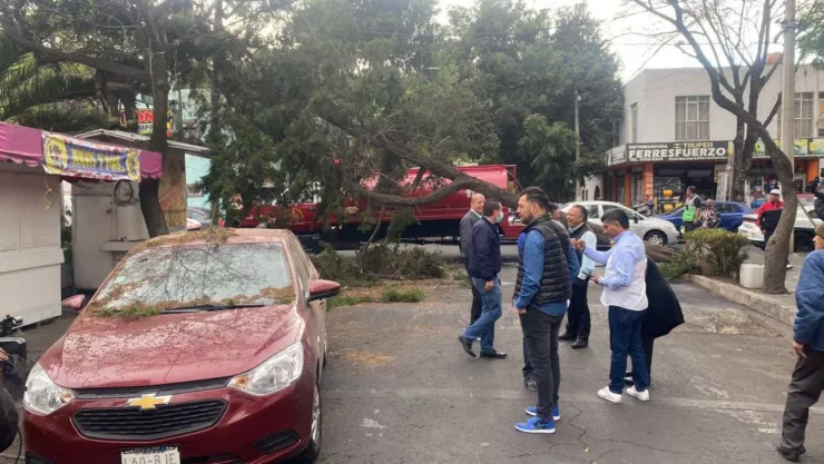 ¿Quién es responsable si un árbol cae sobre mi auto en CDMX?