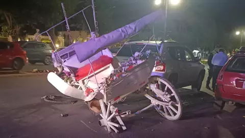 chocan calesa caballlo paseo montejo