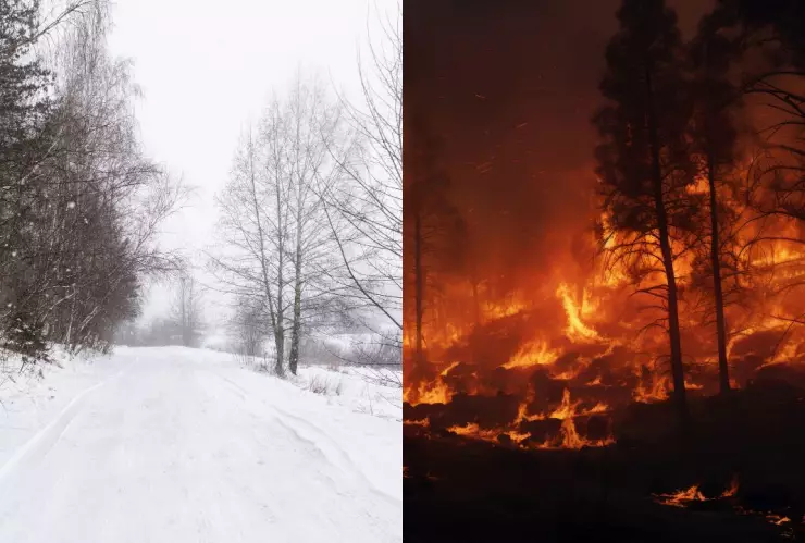 Estados Unidos atrapado entre Incendios forestales y tormentas invernales hoy 8 de enero de 2025 ¿Por qué?