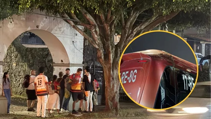 Conato de riña en Xalapa por árbol Ficus