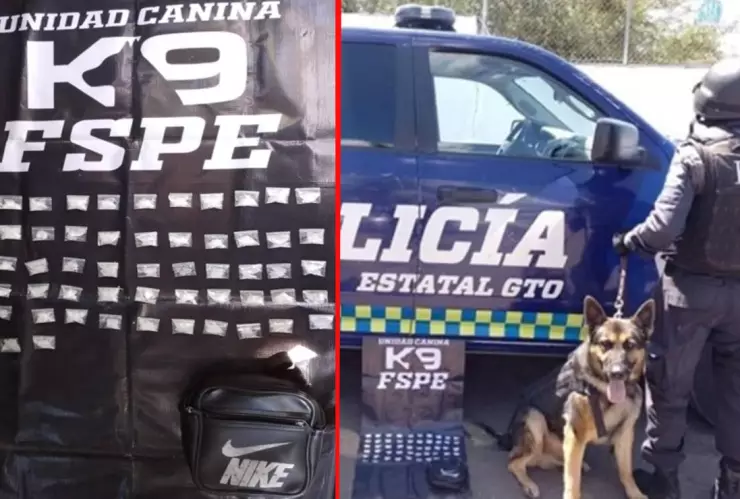 Aseguran droga en León