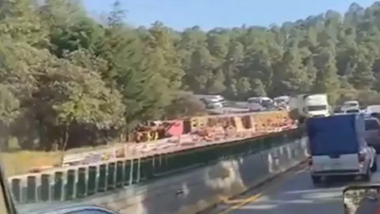 Tráiler de gallinas