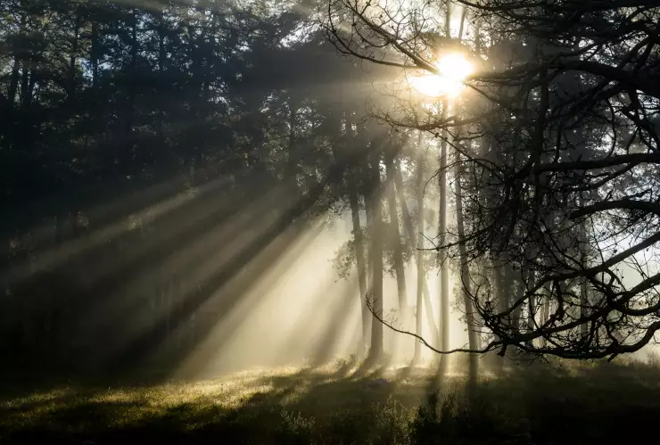 Clima en Tapalpa; ¿cuáles serán las temperaturas del 20 al 22 de junio?