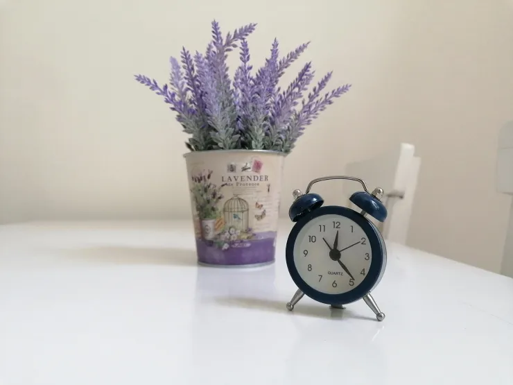 Lavanda en habitación