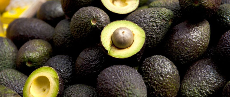 aguacate
