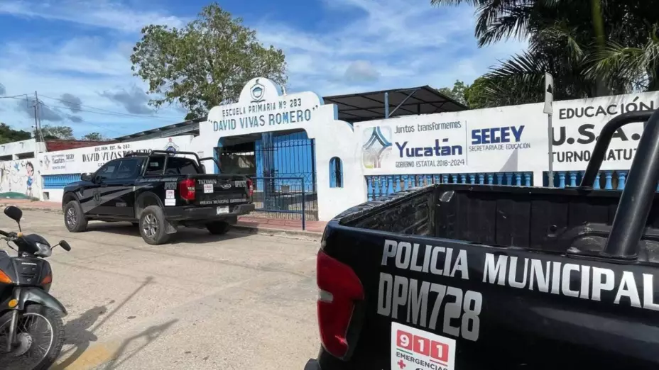 PORTADA niño en primaria.jpg