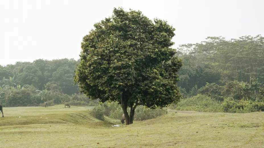 Calidad del aire en Guanajuato