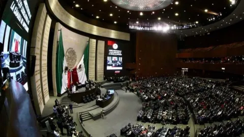 INE_consulta_revocación_de_mandato.jpg