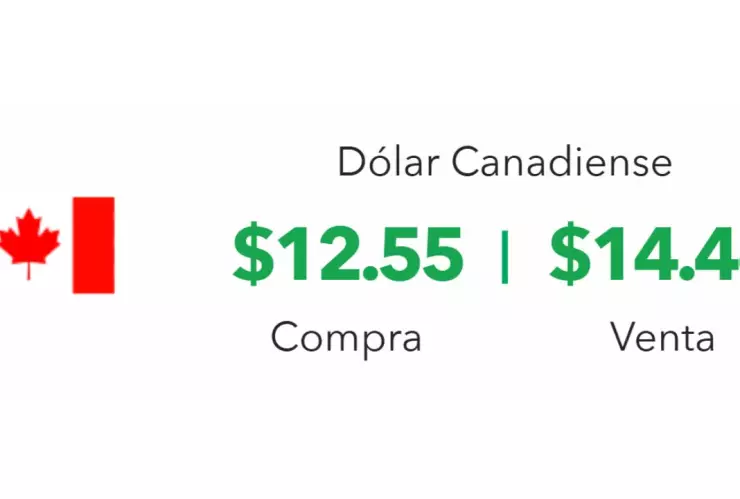 Precio del dólar hoy 25 de marzo 2025; tipo de cambio en México