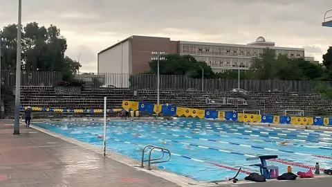 Qué clases se ofrecen en la Alberca Olímpica de CU