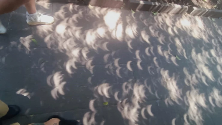 sombras-de-media-luna-durante-eclipse-solar-2024-efecto-pinhole-portada