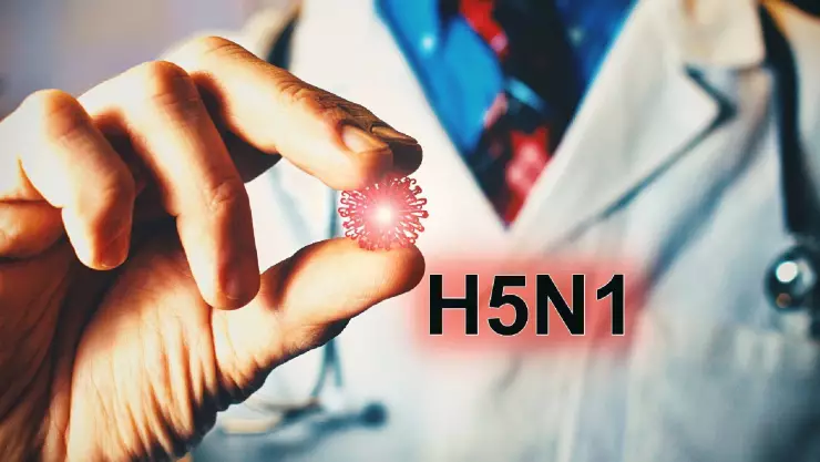 un médico sostiene al virus de la gripe aviar en forma de concepto