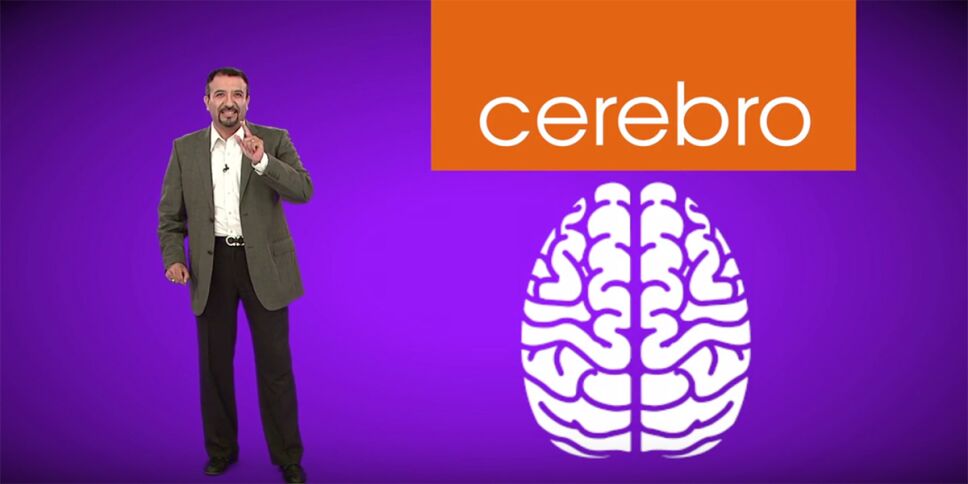 El cerebro