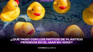 Patitos de plástico