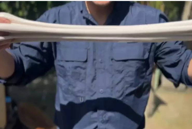 Denominación de Origen para el Chicle Maya_ Tradición y Sustentabilidad (1).jpg