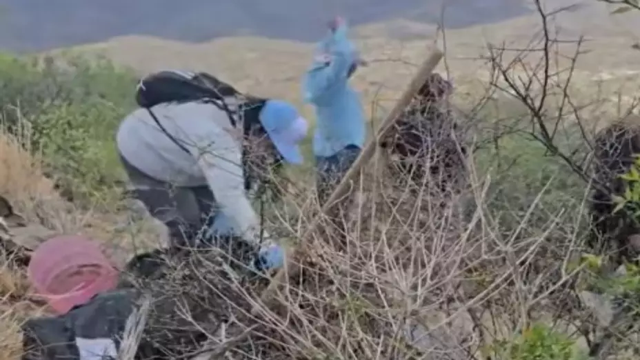 Hallan restos óseos de al menos seis personas en zona rural de Pitiquito, Sonora; FGE investiga. En la imagen se observa al colectivo Buscadoras Por La Paz Sonora realizado una búsqueda activa por víctimas desaparecidas.