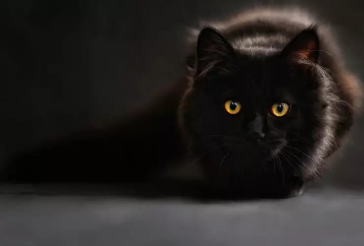 cosas-que-no-debes-hacer-viernes-13