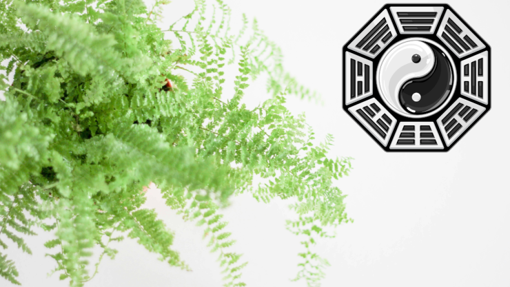 fotografía - 2025-08-26T182521.511.png