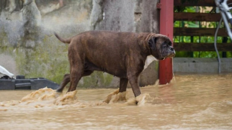 WhatsApp Image 2023-11-08 at 4.49.48 PM.jpeg