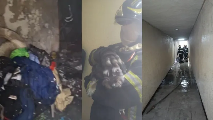 Incendio en Roma Norte: desalojan a 30 personas tras siniestro en departamento de la alcaldía Cuauhtémoc