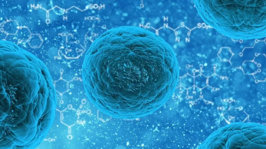 cancer_virus_cura