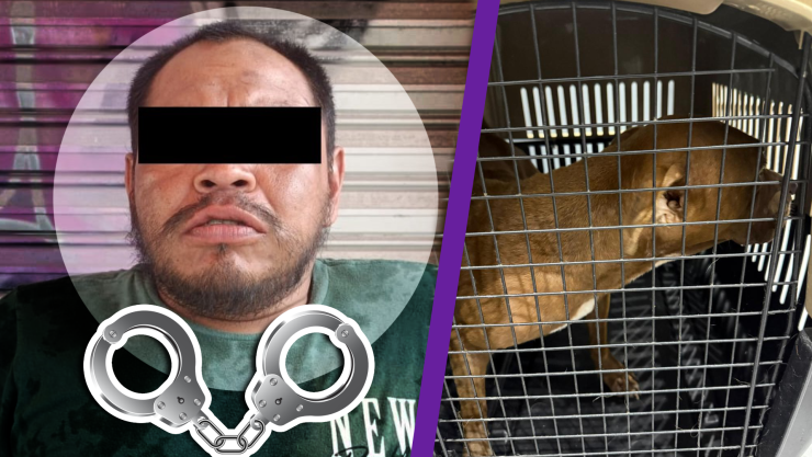 ¡Atrapado! Capturan a abusador de perrita en Benito Juárez; revelan más detalles del caso.webp