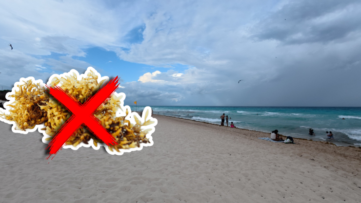 Estas son las playas sin sargazo en Cancún, Isla Mujeres, Holbox, Puerto Morelos, Playa del Carmen y Cozumel hoy 14 de septiembre de 2025.jpg