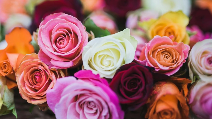 ¿Qué es un ramo buchón y cuánto cuesta en Guadalajara en 2025?