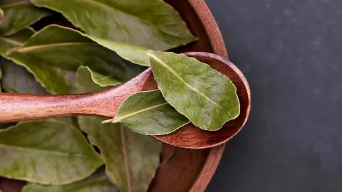 Los mejores rituales con laurel para obtener buena energía en el equinoccio de otoño