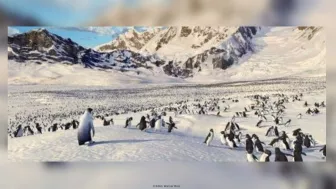 Mensajes de Happy Feet21.jpg