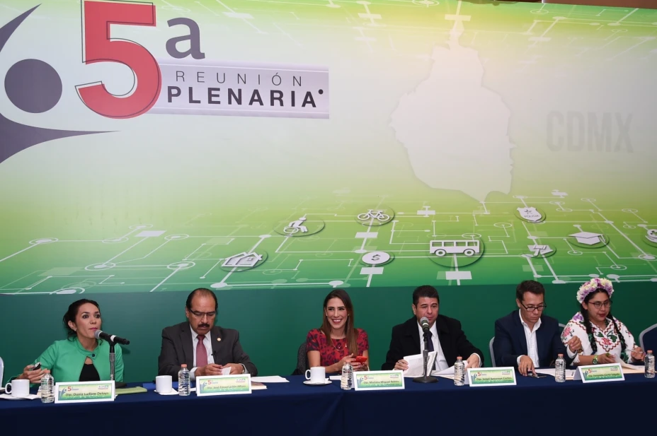 5a reunión plenaria