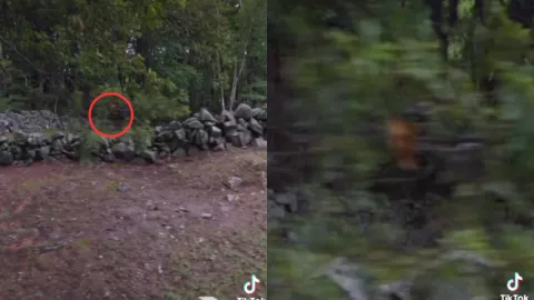 VIDEO: ¡Espeluznante! Captan un rostro deforme de un supuesto fantasma en un cementerio