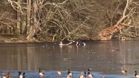 Se lanza a lago congelado para salvar a su perro y todo quedó grabado