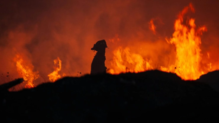 Incendio forestal en Japón febrero marzo 2025.jpg
