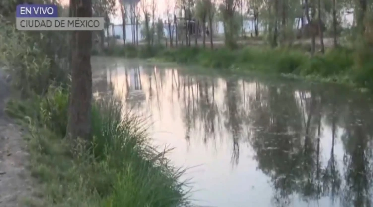 Cae un auto al Canal de Chalco