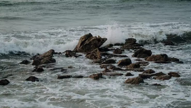 Hallaron sin vida a 8 migrantes que cruzaron ilegalmente a San Diego