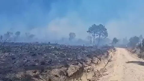 Incendio consume un cerro en Tocatlán, Tlaxcala hoy 10 de abril de 2025