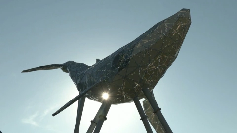 Una ballena hecha de basura reciclada adorna plaza en Ucrania.