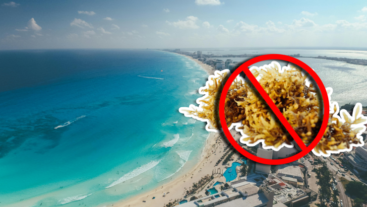 Playas libres de sargazo en Quintana Roo HOY 17 de septiembre de 2025_ Lista desde Holbox, Cancún, Tulum a Xcalak.jpg