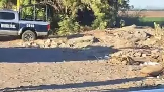 Hombre asesinado en Navolato