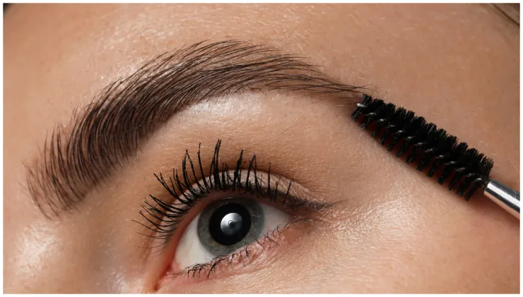 Cejas